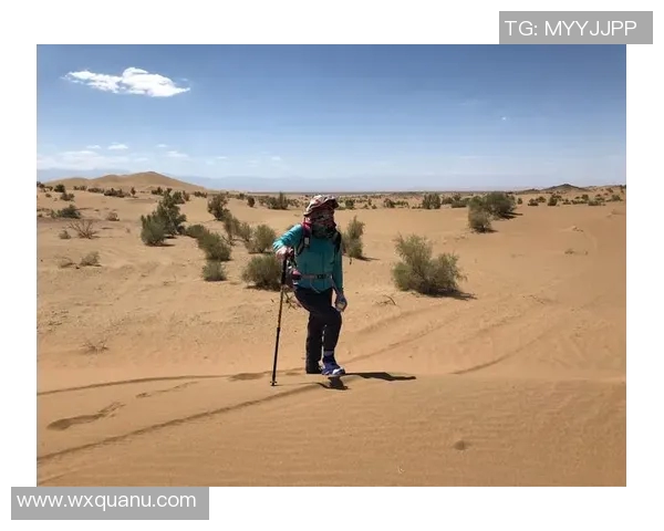 深度探讨李秀英在王者荣耀中的成长与挑战之路